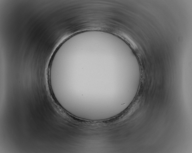 X0000088190899200705150957