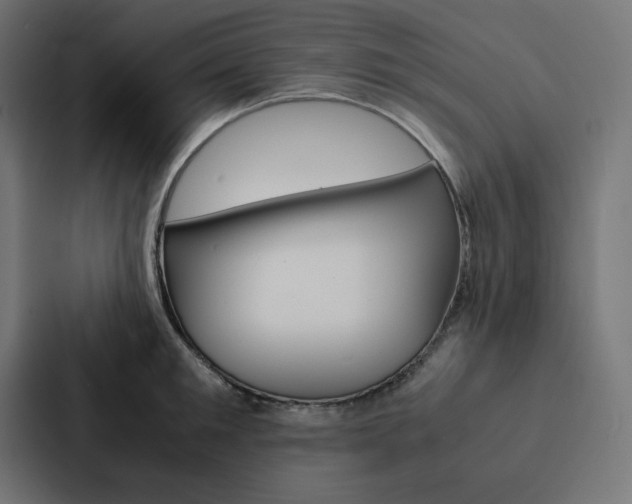X0000088190901200705150957