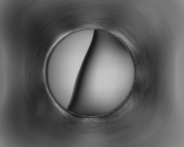 X0000088190902200705150957
