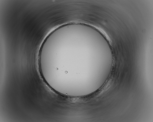 X0000088190903200705150957