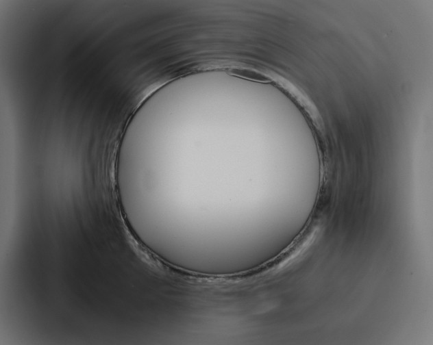 X0000088190905200705150957