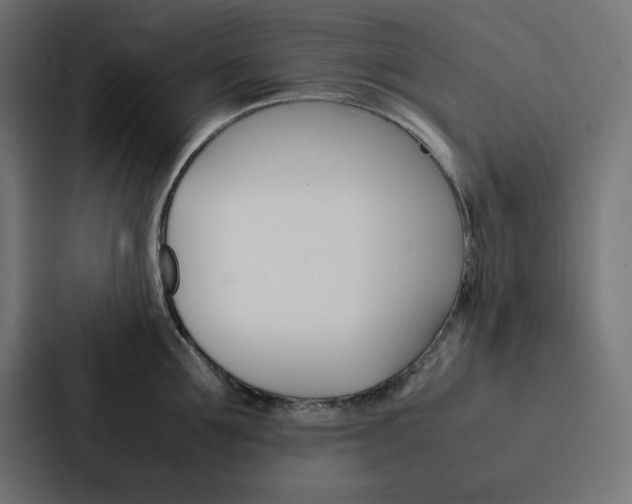 X0000088190907200705150957