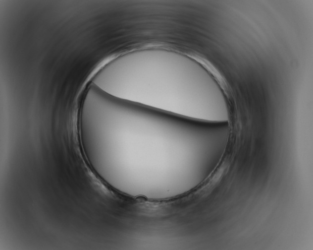 X0000088190910200705150957