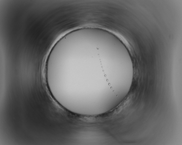 X0000088190911200705150957