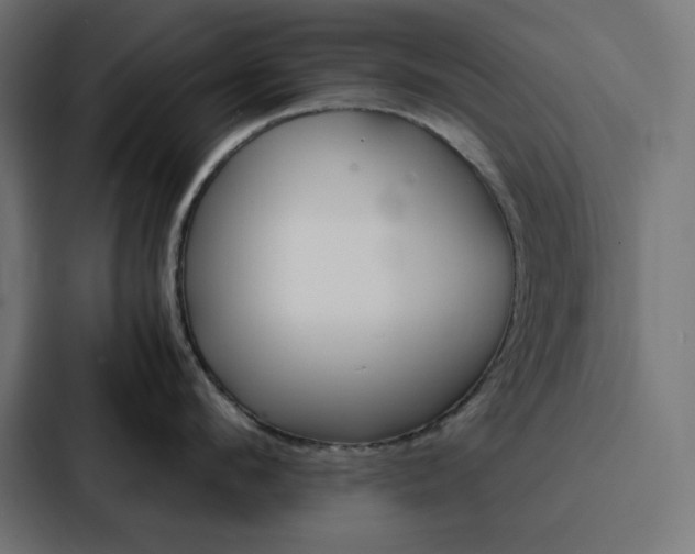 X0000088190912200705150957