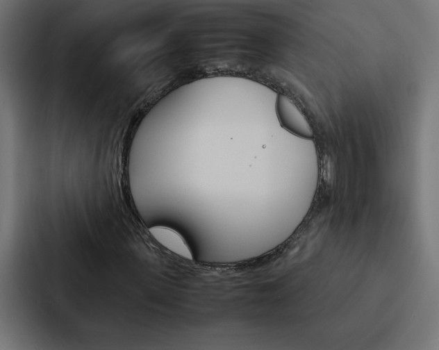 X0000088190915200705150956