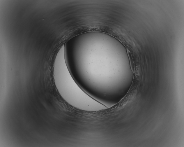 X0000088190916200705150956