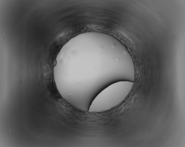 X0000088190917200705150956