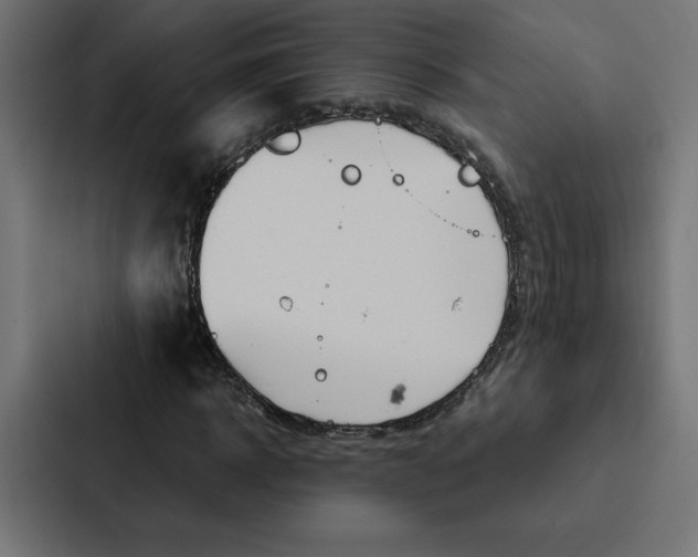 X0000088190918200705150956