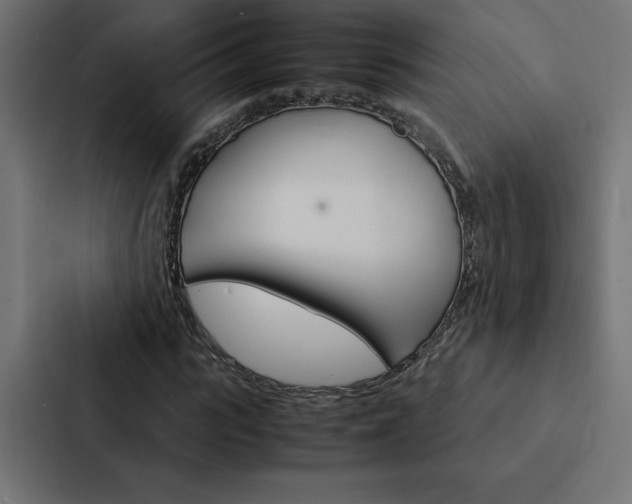 X0000088190919200705150956