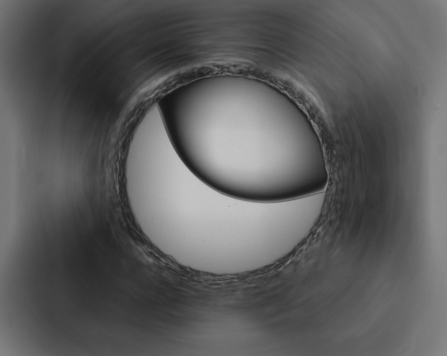 X0000088190920200705150956