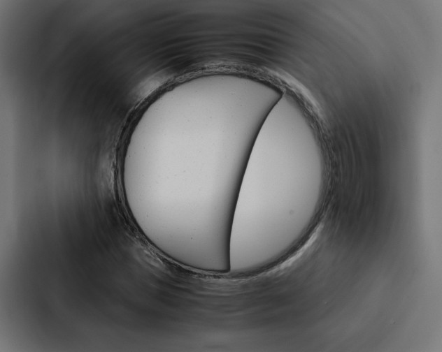 X0000088190921200705150956