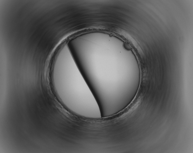 X0000088190923200705150956
