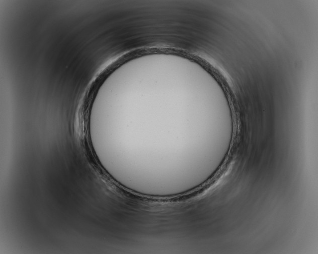 X0000088190925200705150956