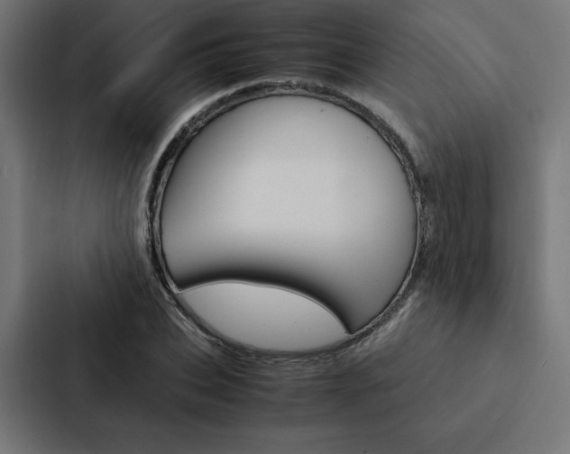 X0000088190927200705150956
