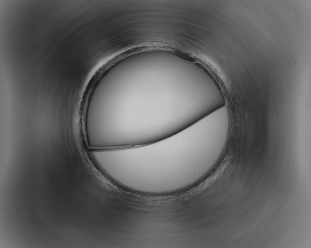 X0000088190928200705150956