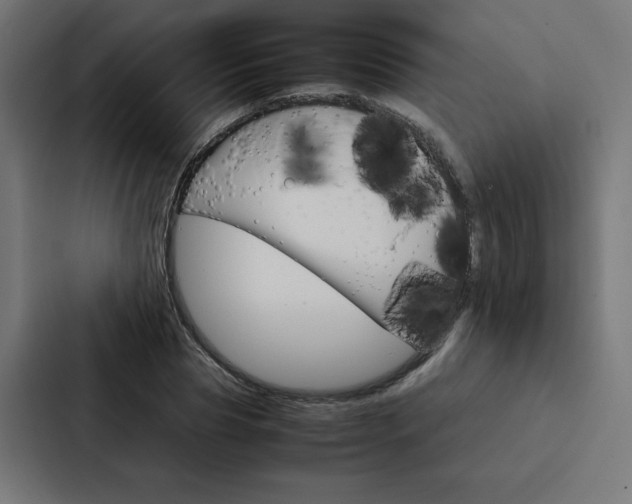 X0000088190929200705150956
