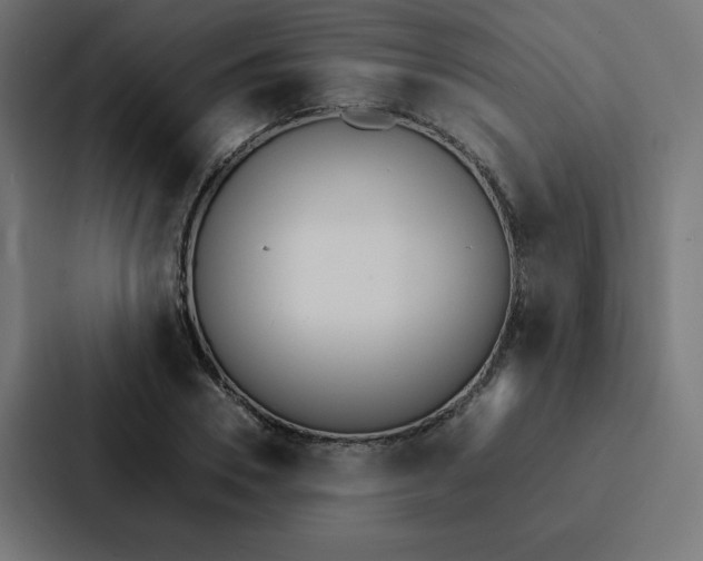 X0000088190930200705150956