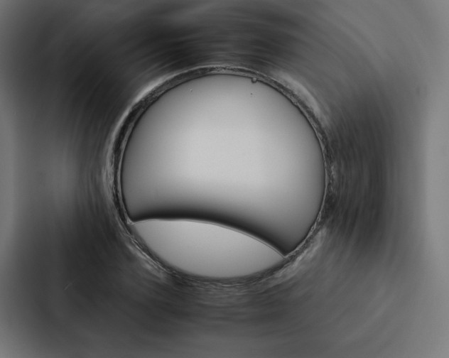 X0000088190931200705150956