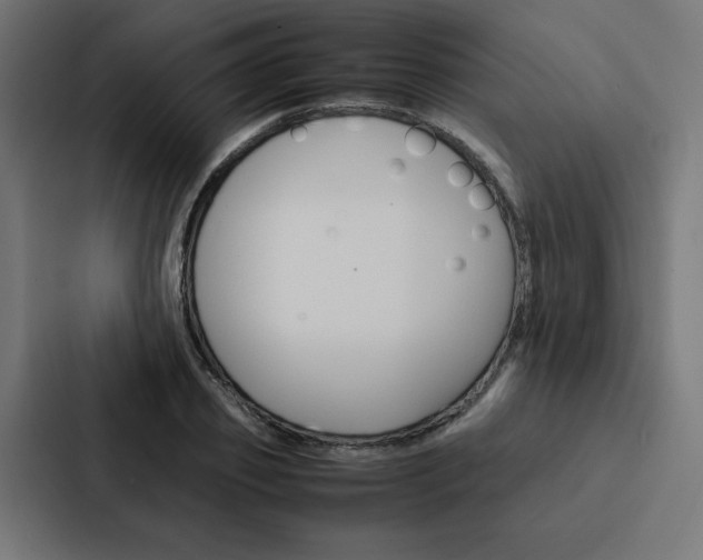 X0000088190933200705150956