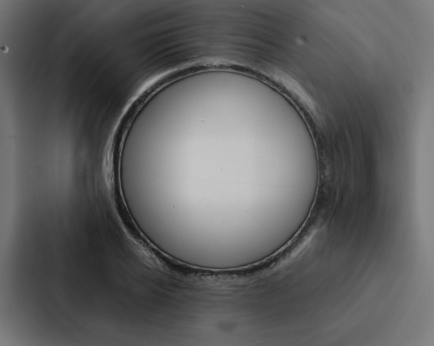 X0000088190934200705150956