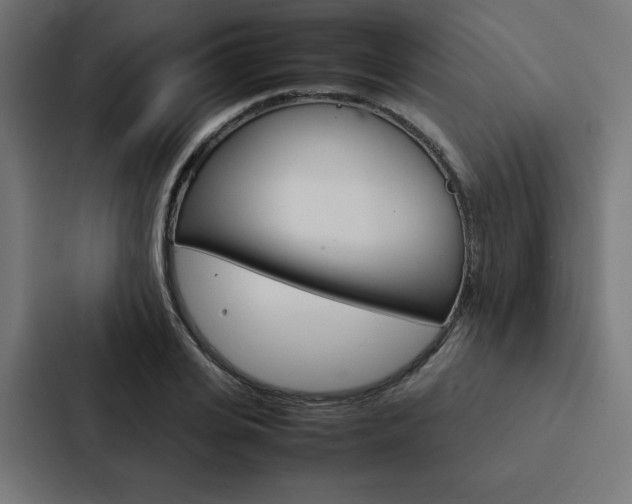 X0000088190935200705150956