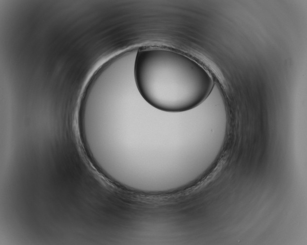 X0000088190936200705150956