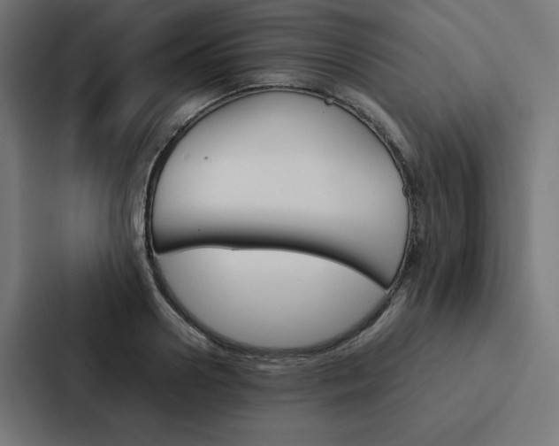 X0000088190938200705150956