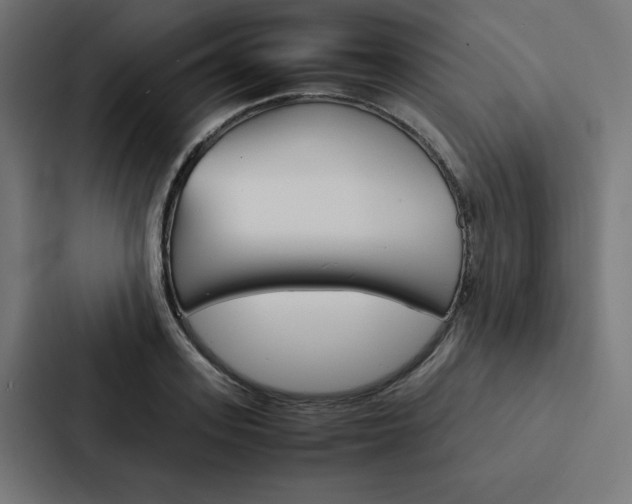 X0000088190939200705150956