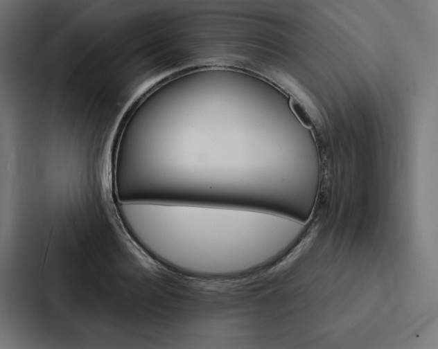 X0000088190940200705150956