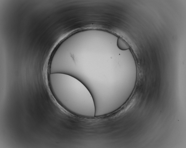 X0000088190941200705150956