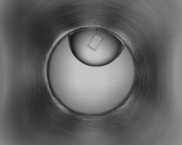 X0000088190942200705150956