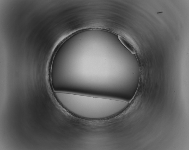 X0000088190944200705150956