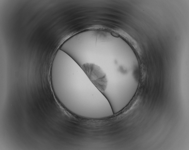 X0000088190945200705150956
