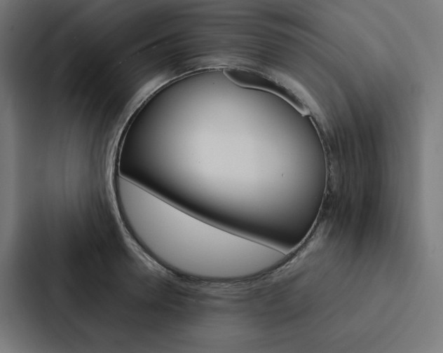 X0000088190946200705150956