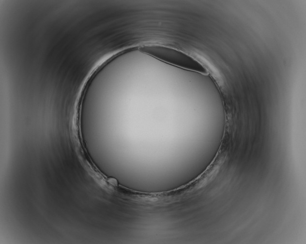 X0000088190948200705150956
