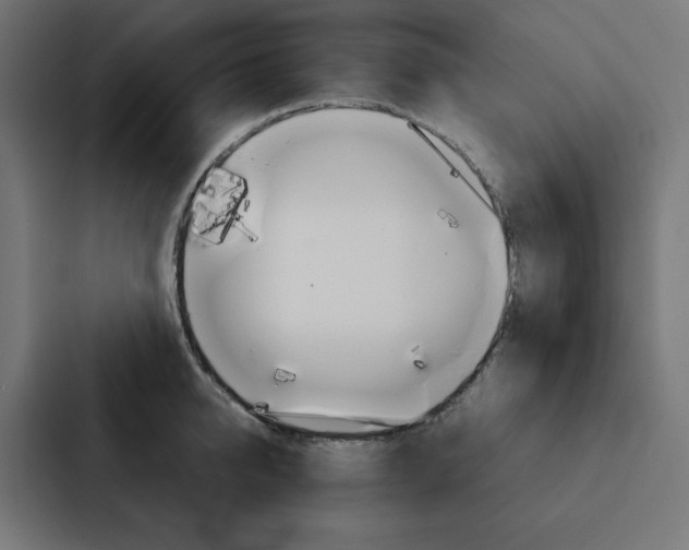 X0000088190950200705150956