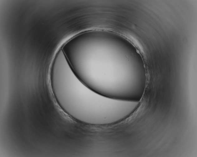 X0000088190952200705150957