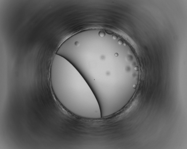 X0000088190953200705150957