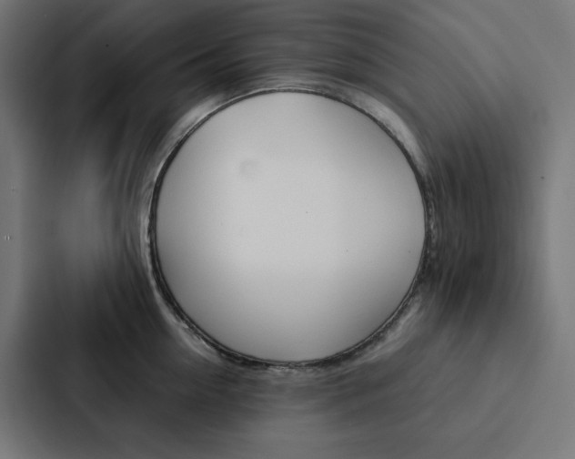 X0000088190954200705150957