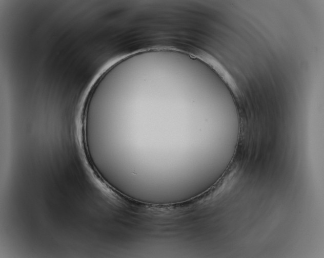 X0000088190955200705150957