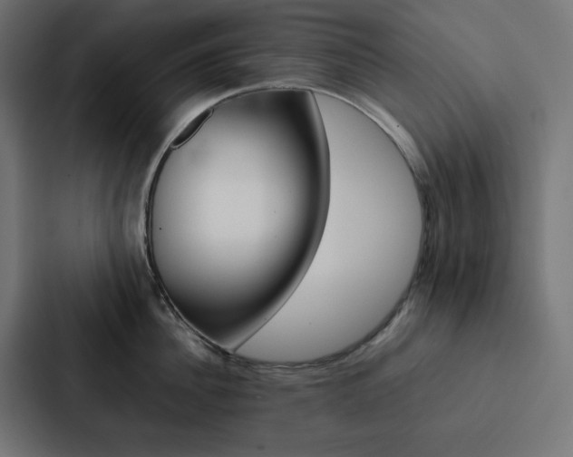 X0000088190956200705150957