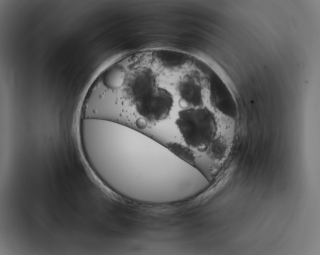 X0000088190957200705150957