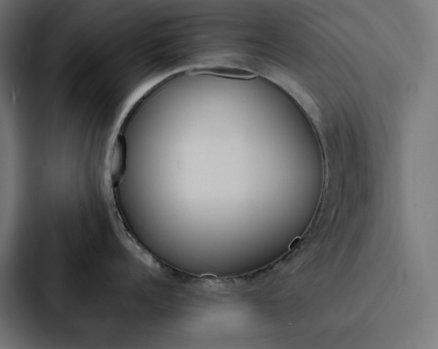 X0000088190960200705150957