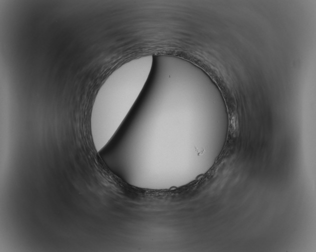 X0000088190963200705150956