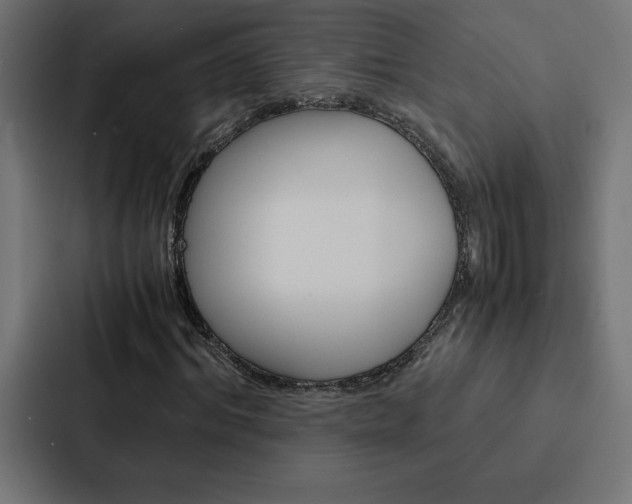 X0000088190964200705150956