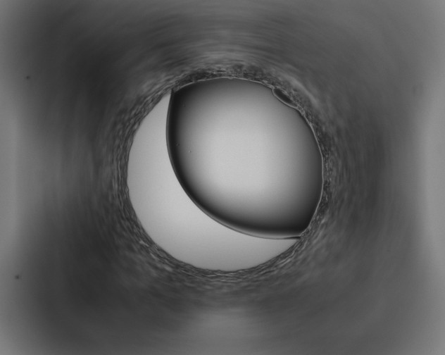 X0000088190965200705150956