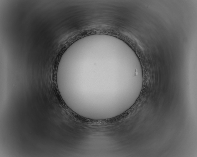 X0000088190966200705150956
