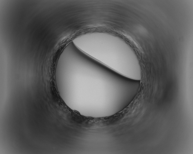 X0000088190967200705150956