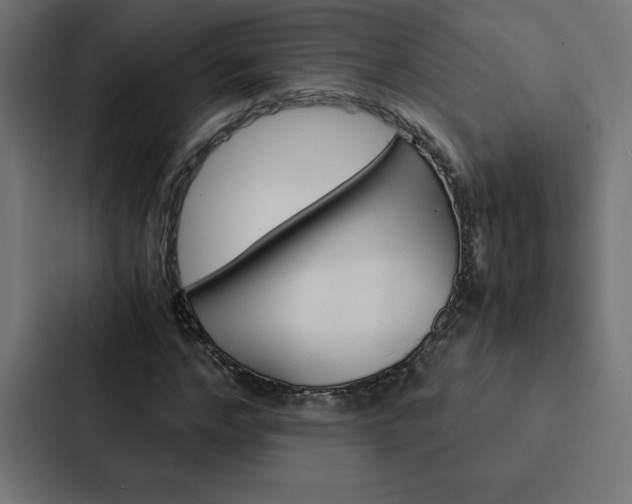 X0000088190968200705150956